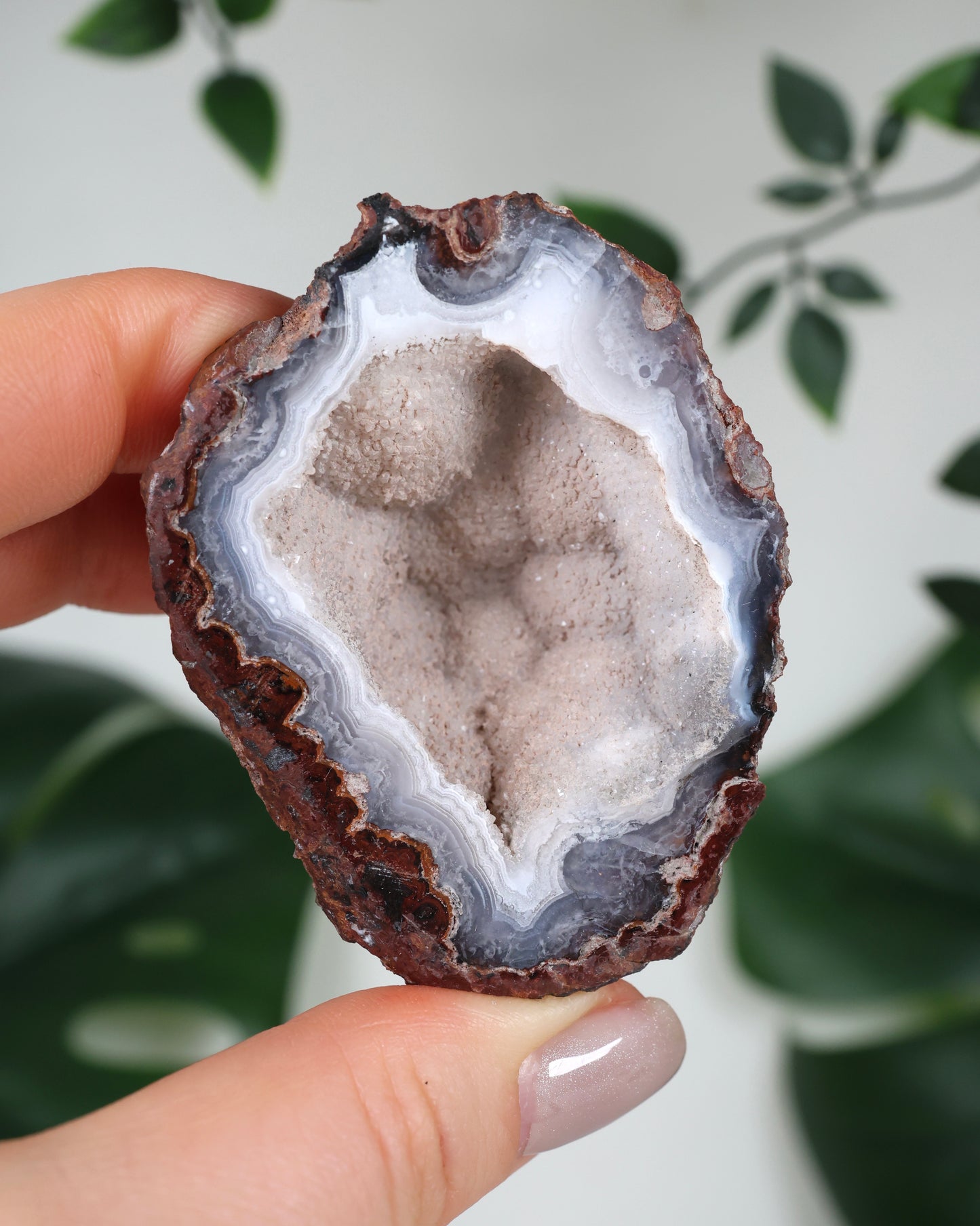 Laguna Agate Geodes Pair No.152L3
