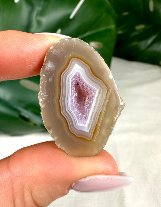 Amethyst Geode Nr. 7A6