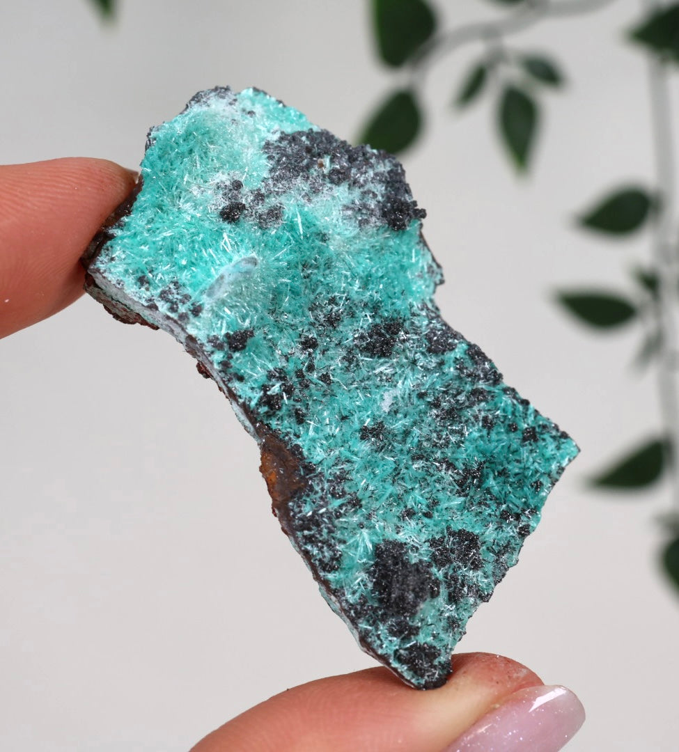 Aurichalcite Nr.30AU