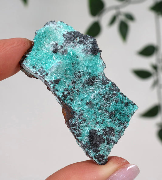 Aurichalcite Nr.30AU
