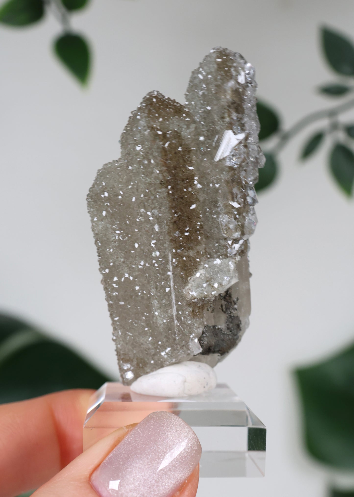 Apophyllit x Quarz x Chlorit Nr.119QA