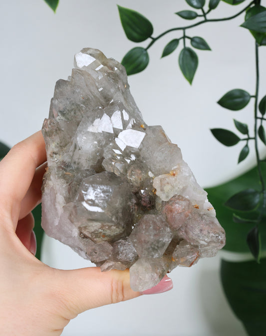 Gartenquarz x Rutil Cluster Nr.310GR