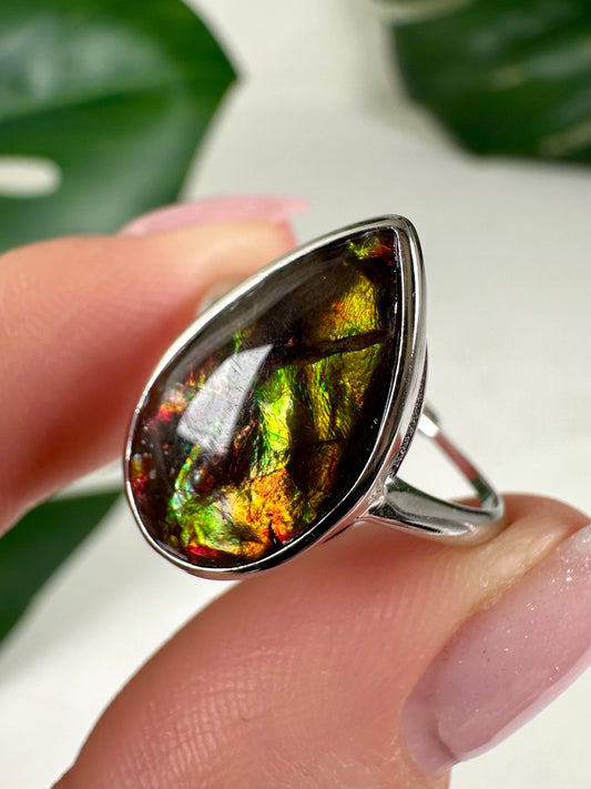 Ammolit Ring in 925 Silber Nr.115A1