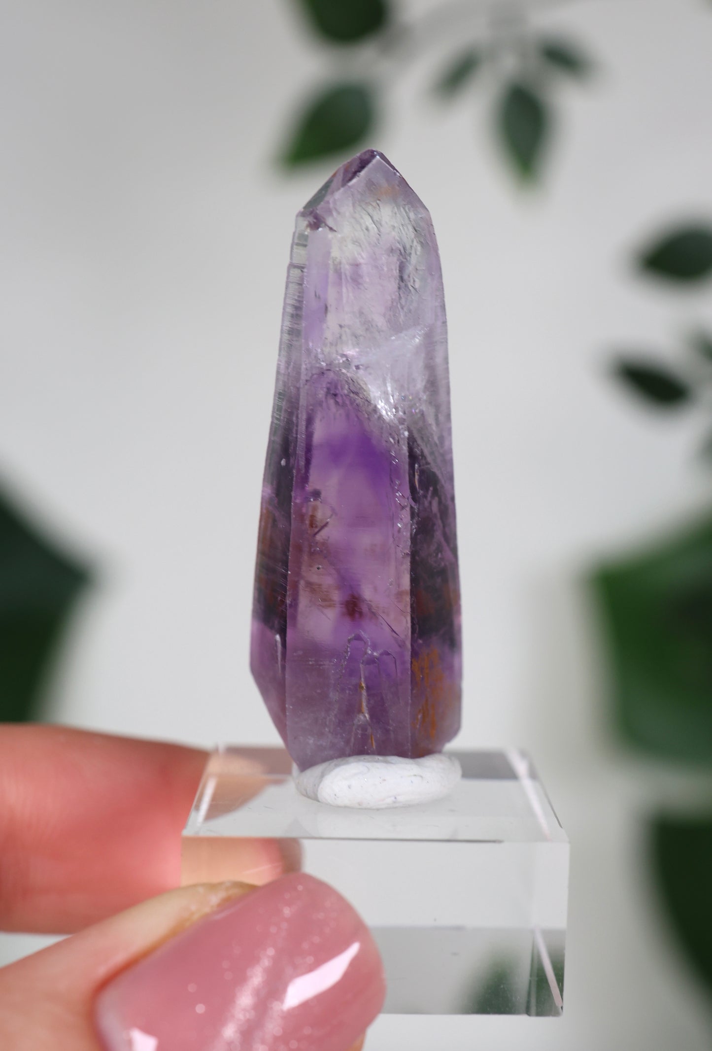 Guerrero Amethyst Oldstock S- Auswahl