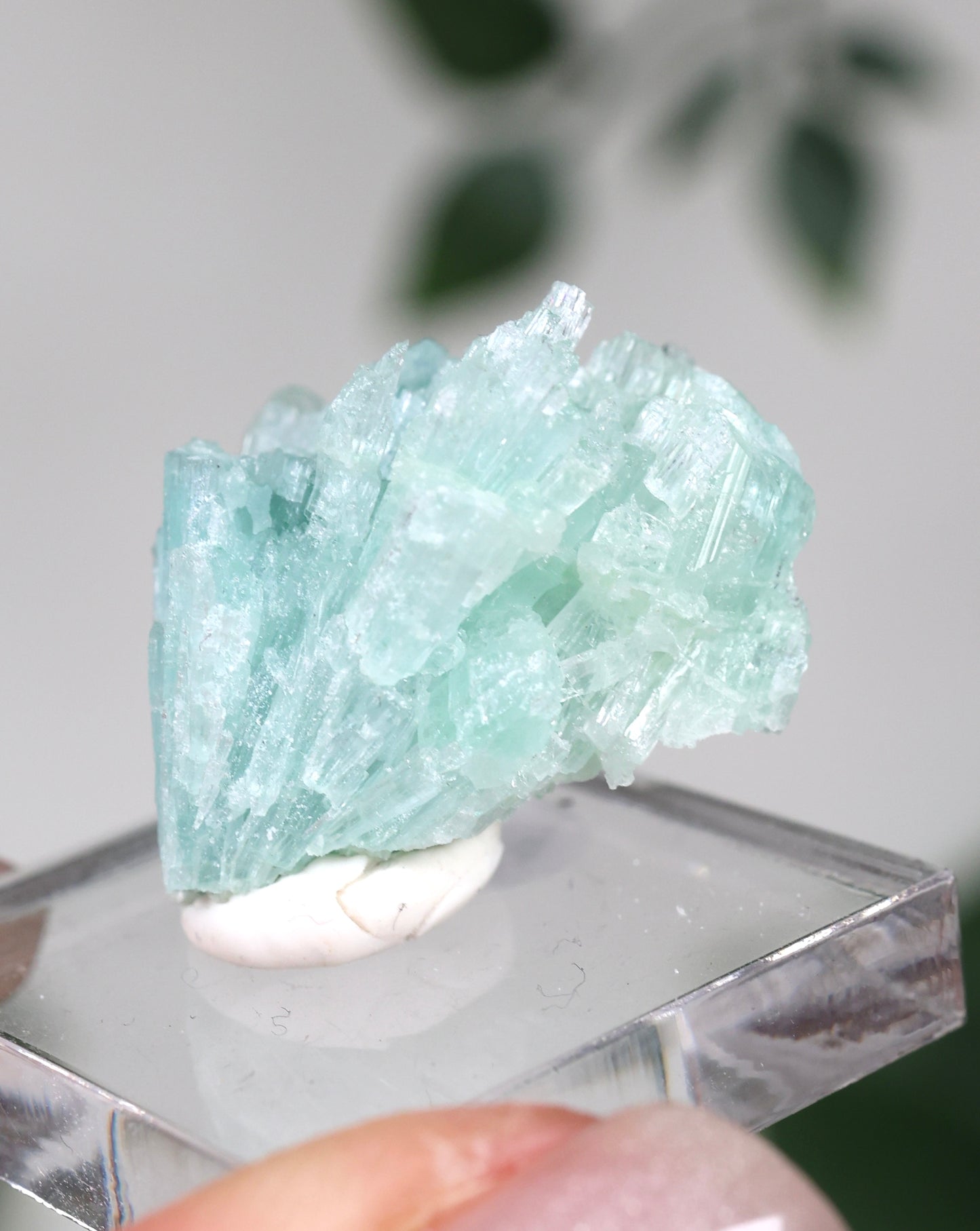 Blauer Turmalin Nr.22TB