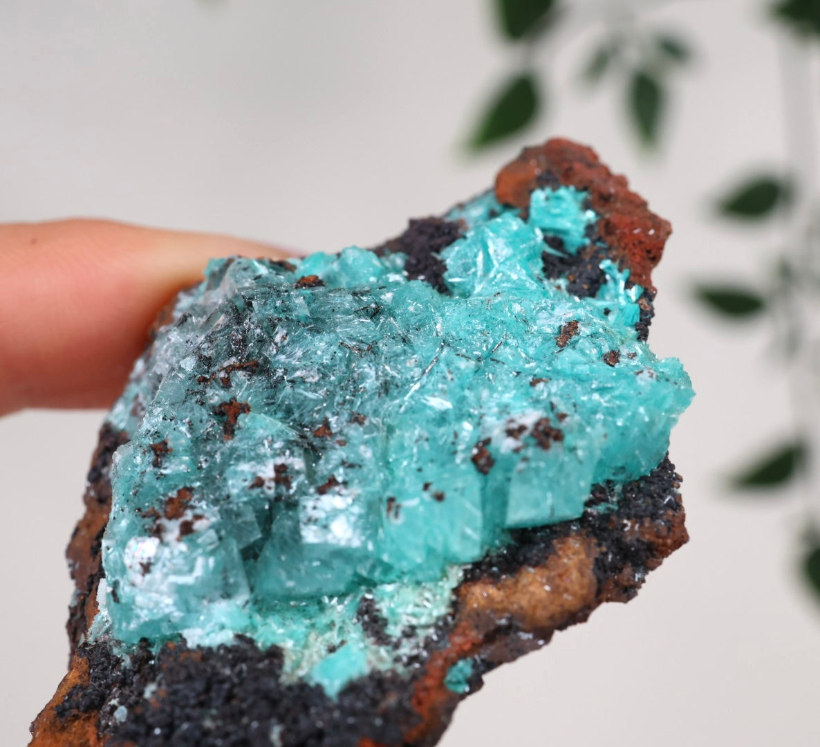 Aurichalcite Nr.29AU