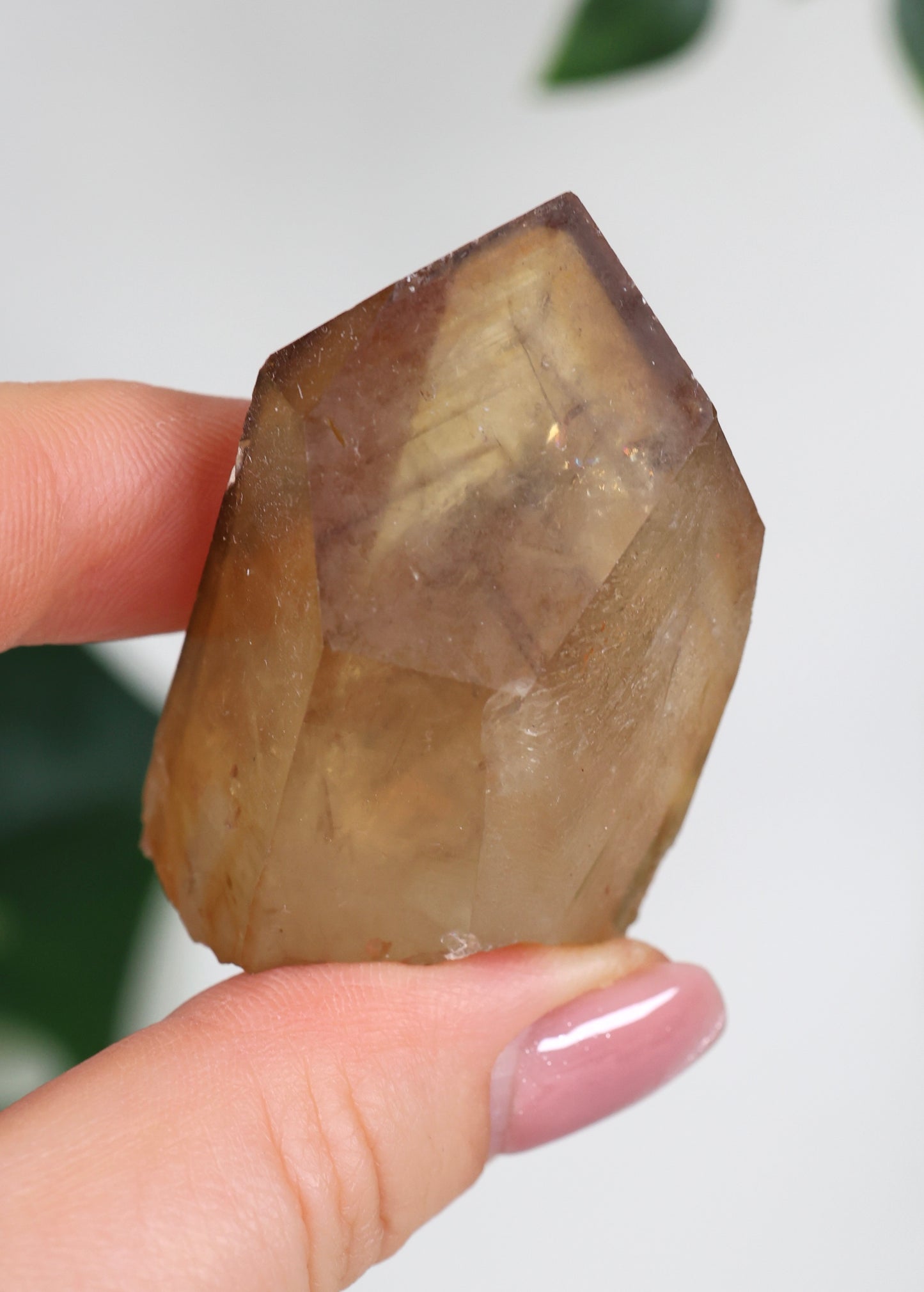 Natürliche Citrin Spitze mit Phantomen Nr.39CS