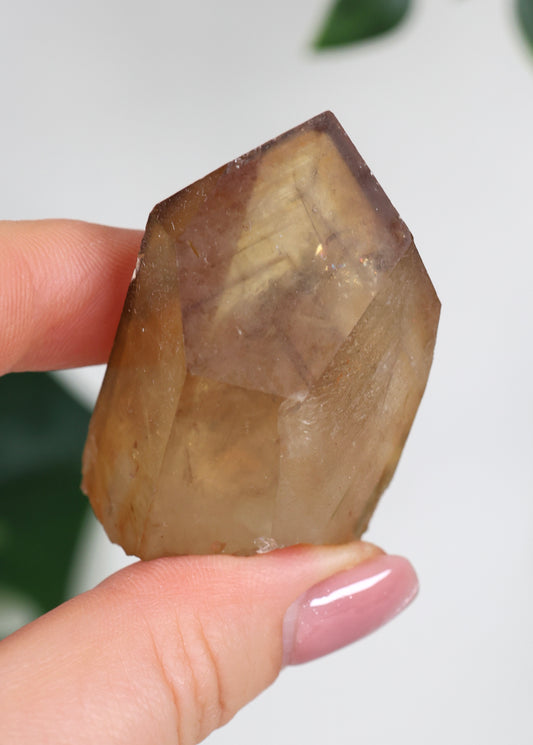 Natürliche Citrin Spitze mit Phantomen Nr.39CS