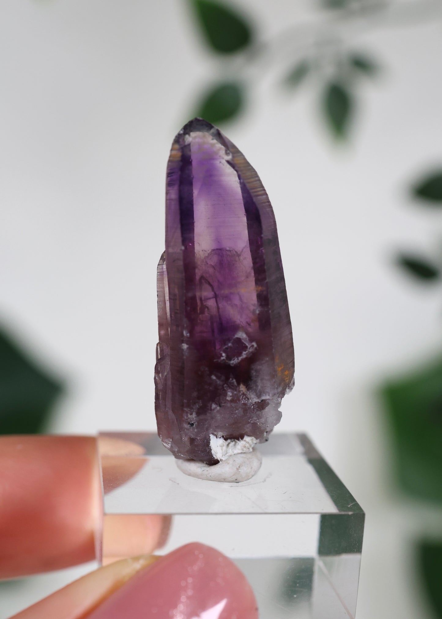 Guerrero Amethyst Oldstock S- Auswahl
