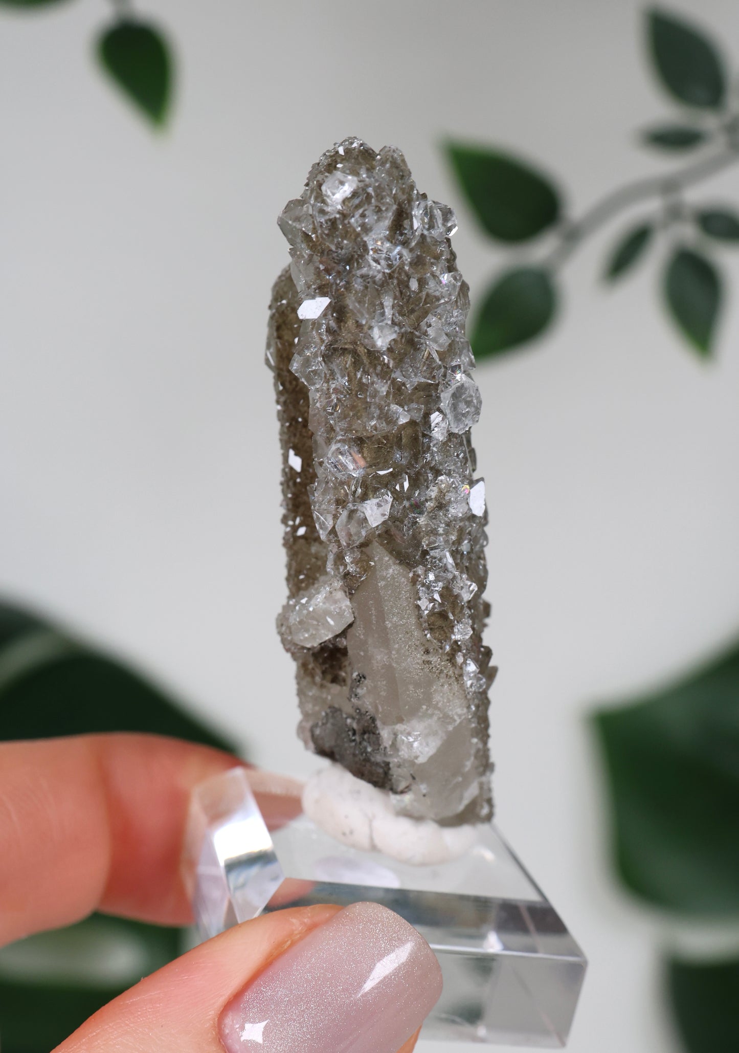 Apophyllit x Quarz x Chlorit Nr.119QA