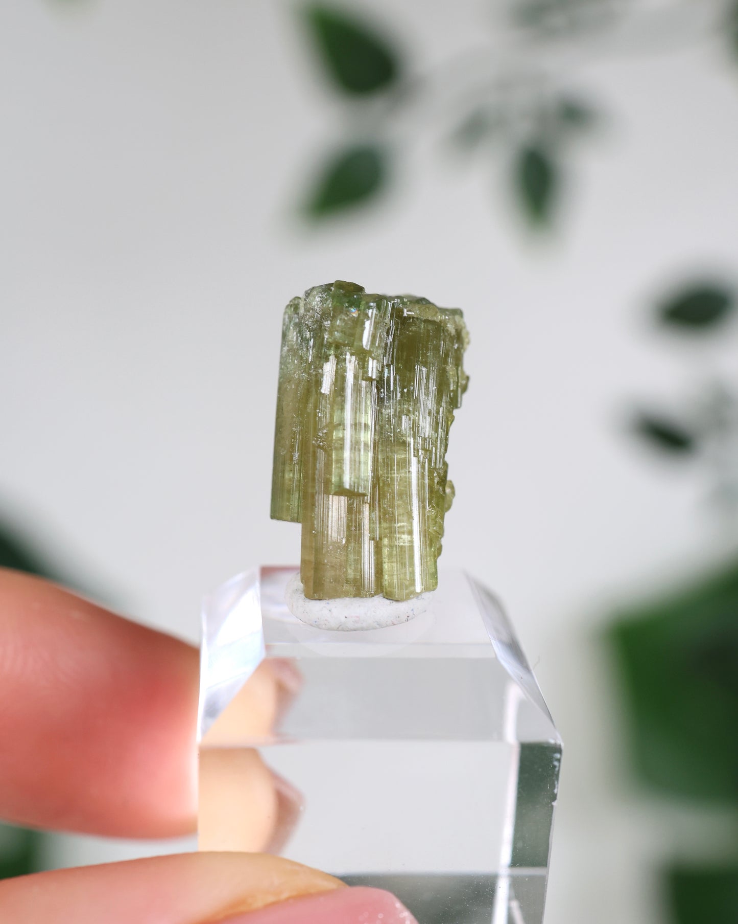 Grüner Turmalin S - Auswahl