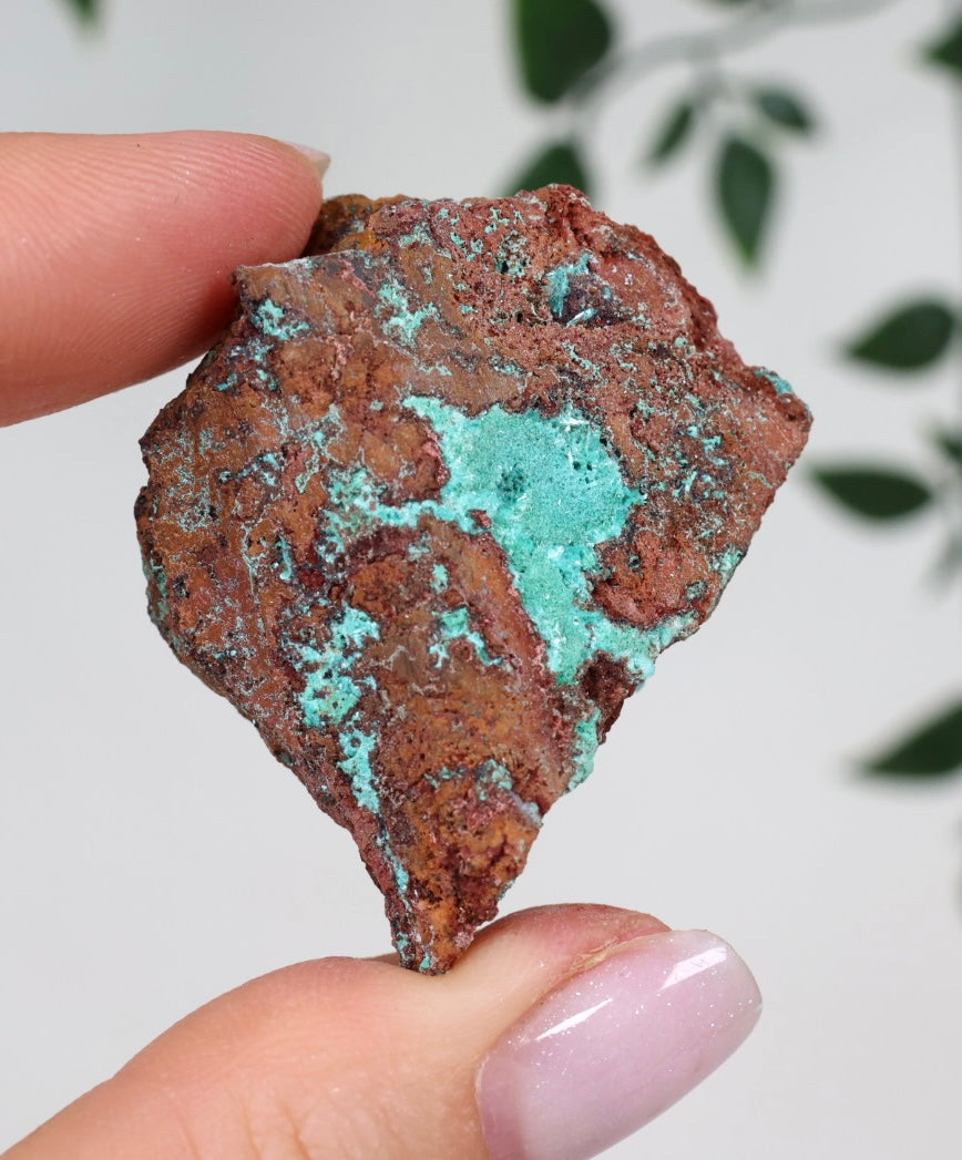 Aurichalcite Nr.38AU