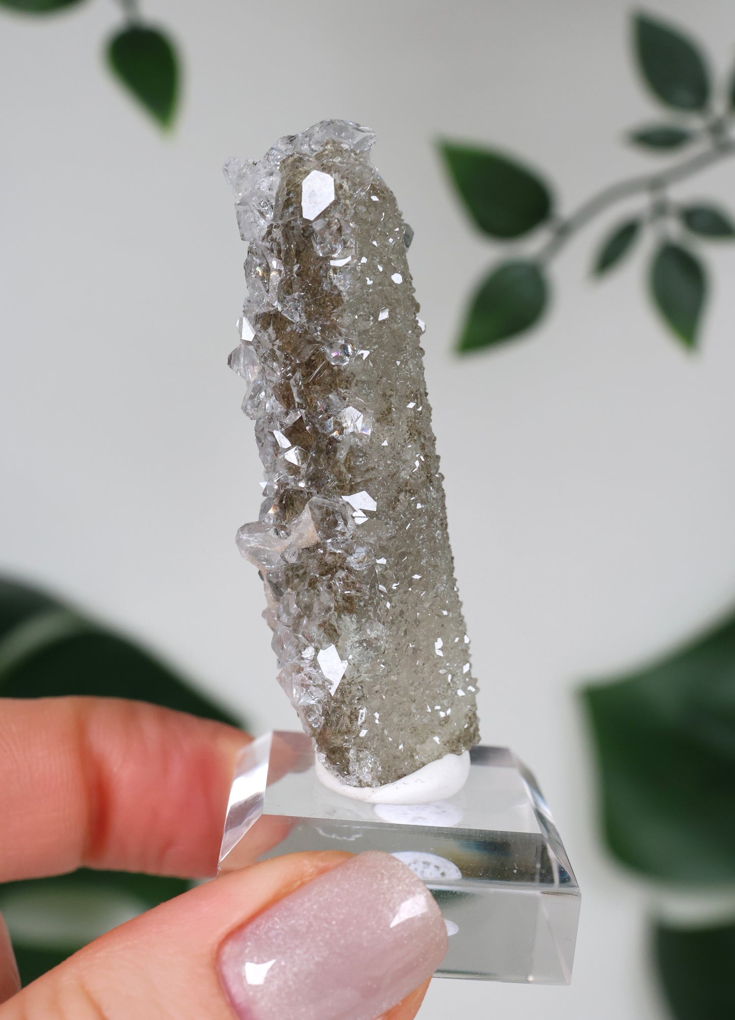 Apophyllit x Quarz x Chlorit Nr.79QA