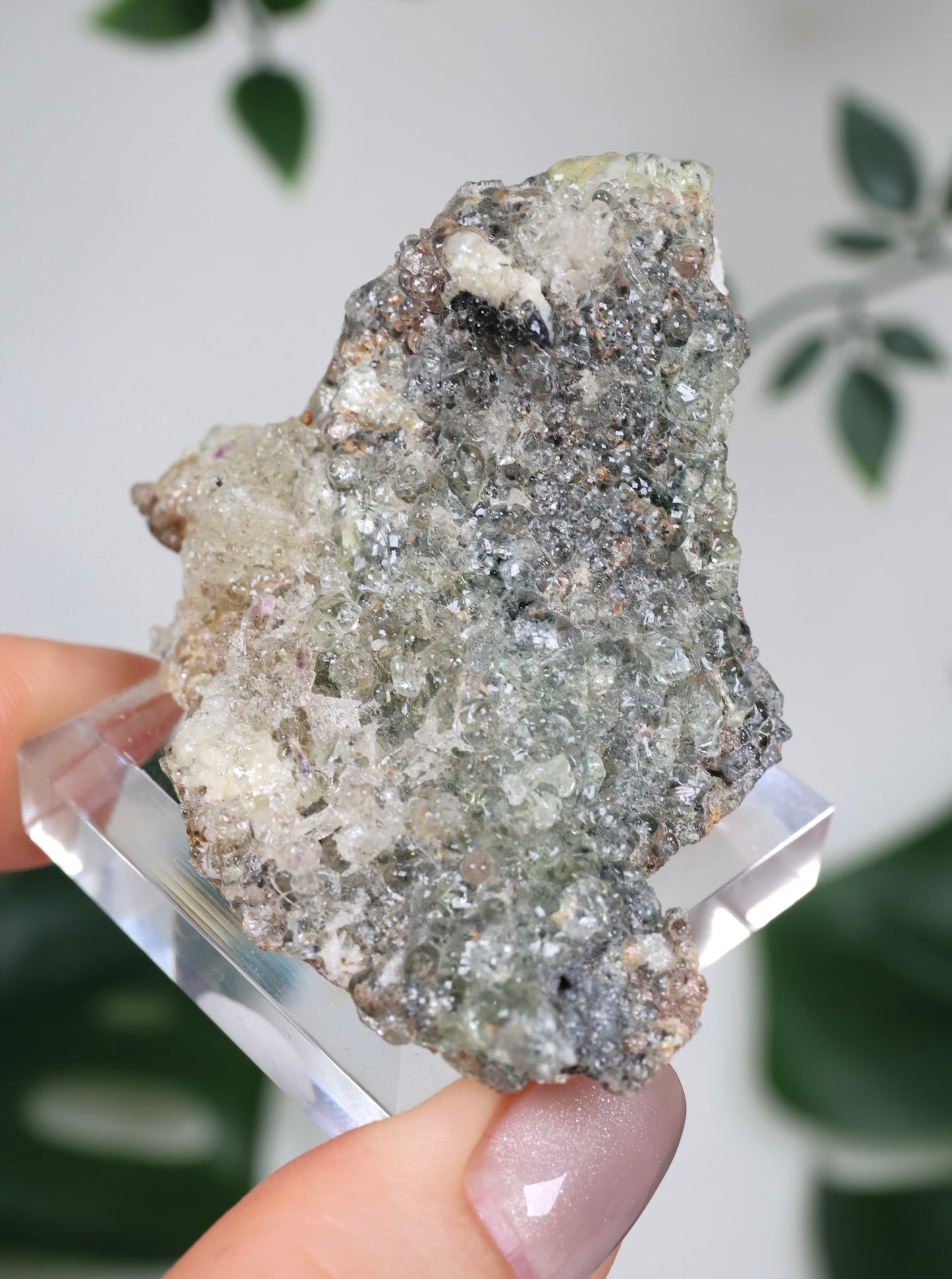 Hyalit Opal Nr.64HO