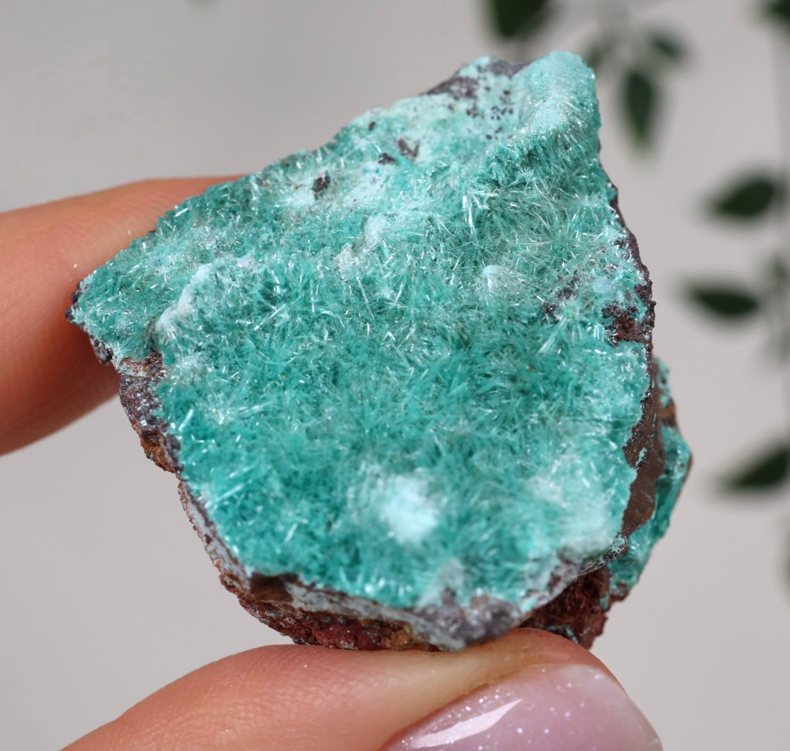 Aurichalcite Nr.35AU