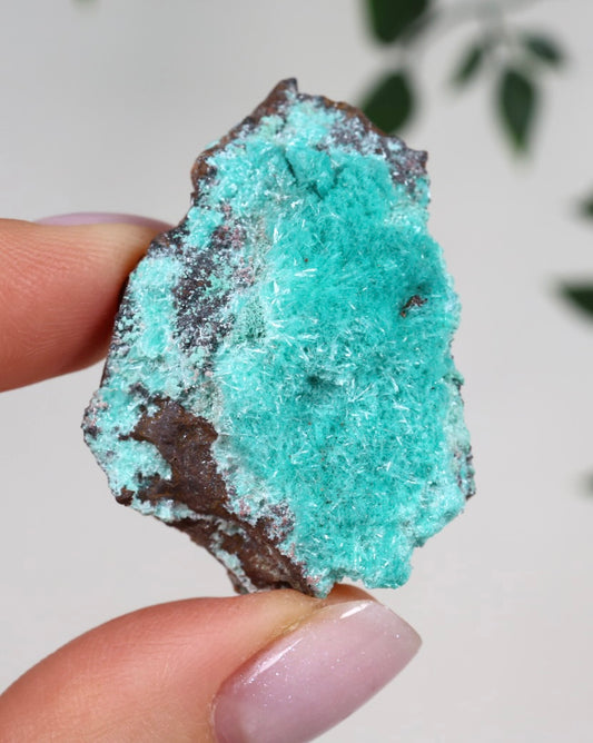 Aurichalcite Nr.33AR