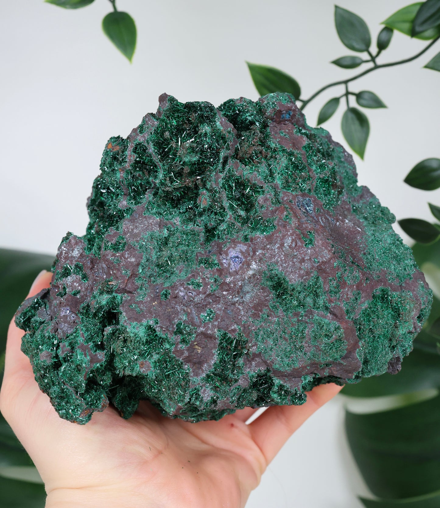 Brochantit x Bornit Nr.295BC