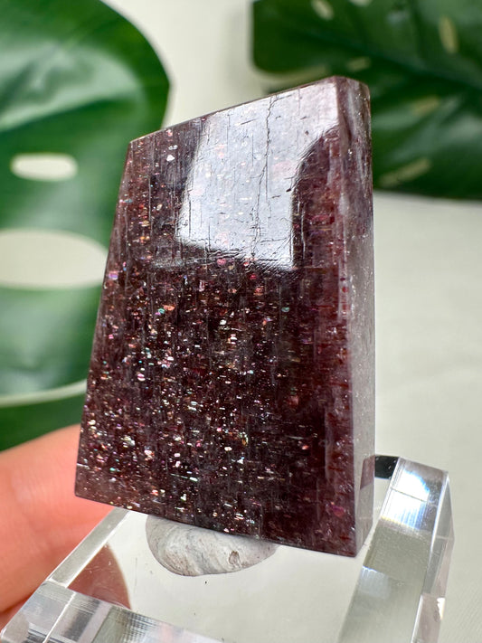 Iolita con piedra solar n.º 65SI