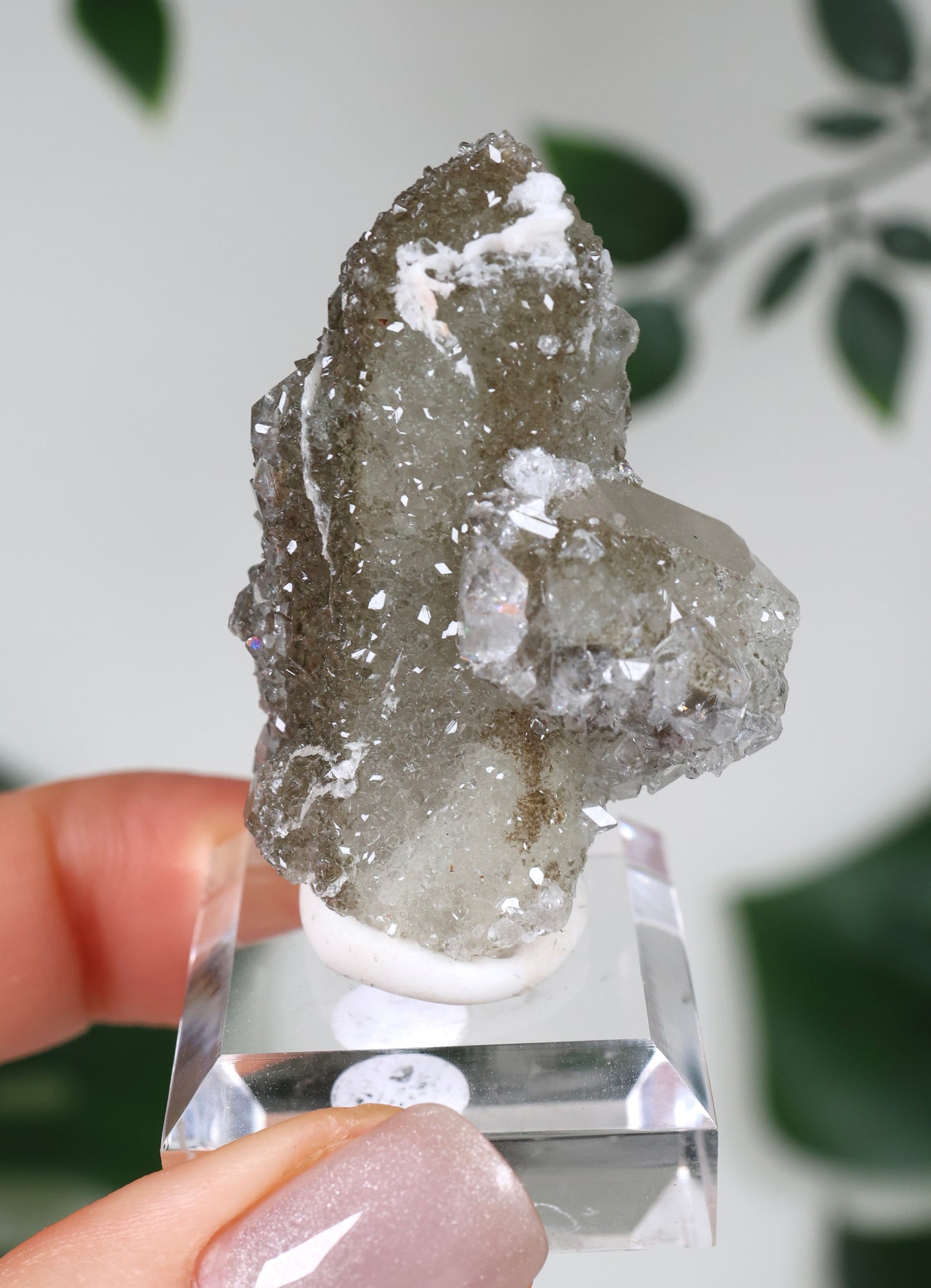 Apophyllit x Quarz x Chlorit Nr.68QA