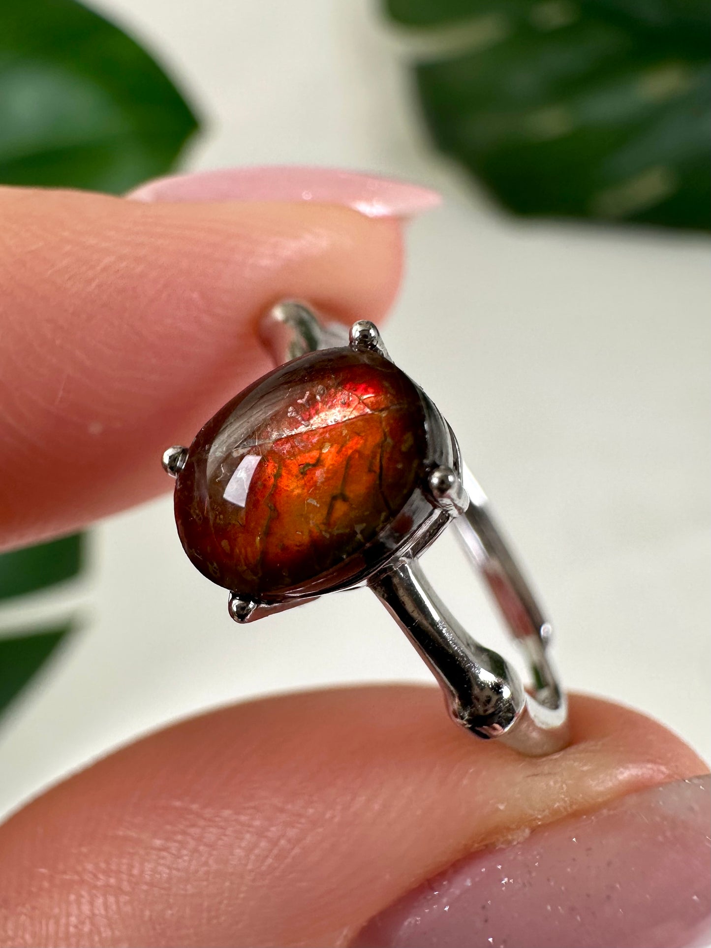 Ammolit Ring in 925 Silber Nr.49A3