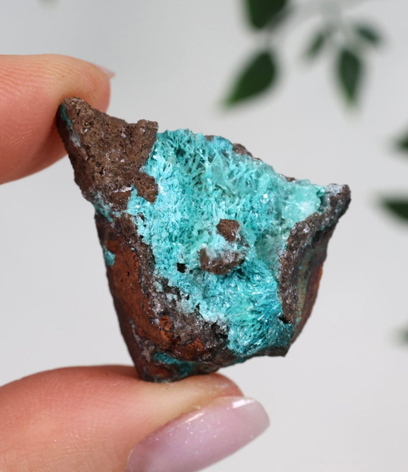 Aurichalcite - Auswahl