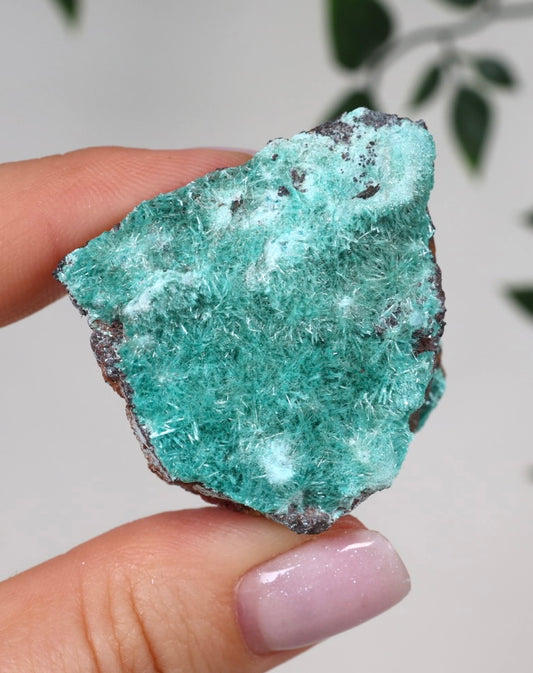 Aurichalcite Nr.35AU