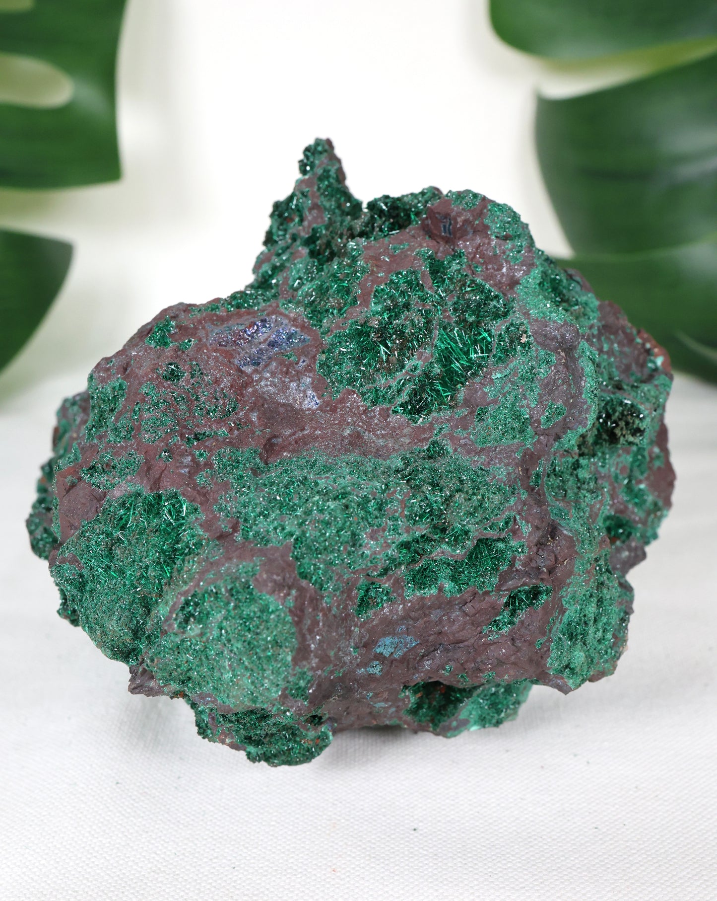 Brochantit x Bornit Nr.295BC