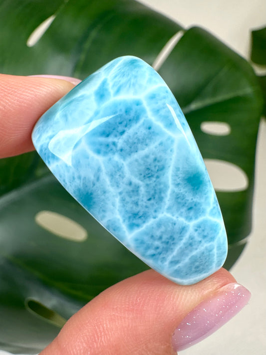 Larimar HQ Nr.243LA