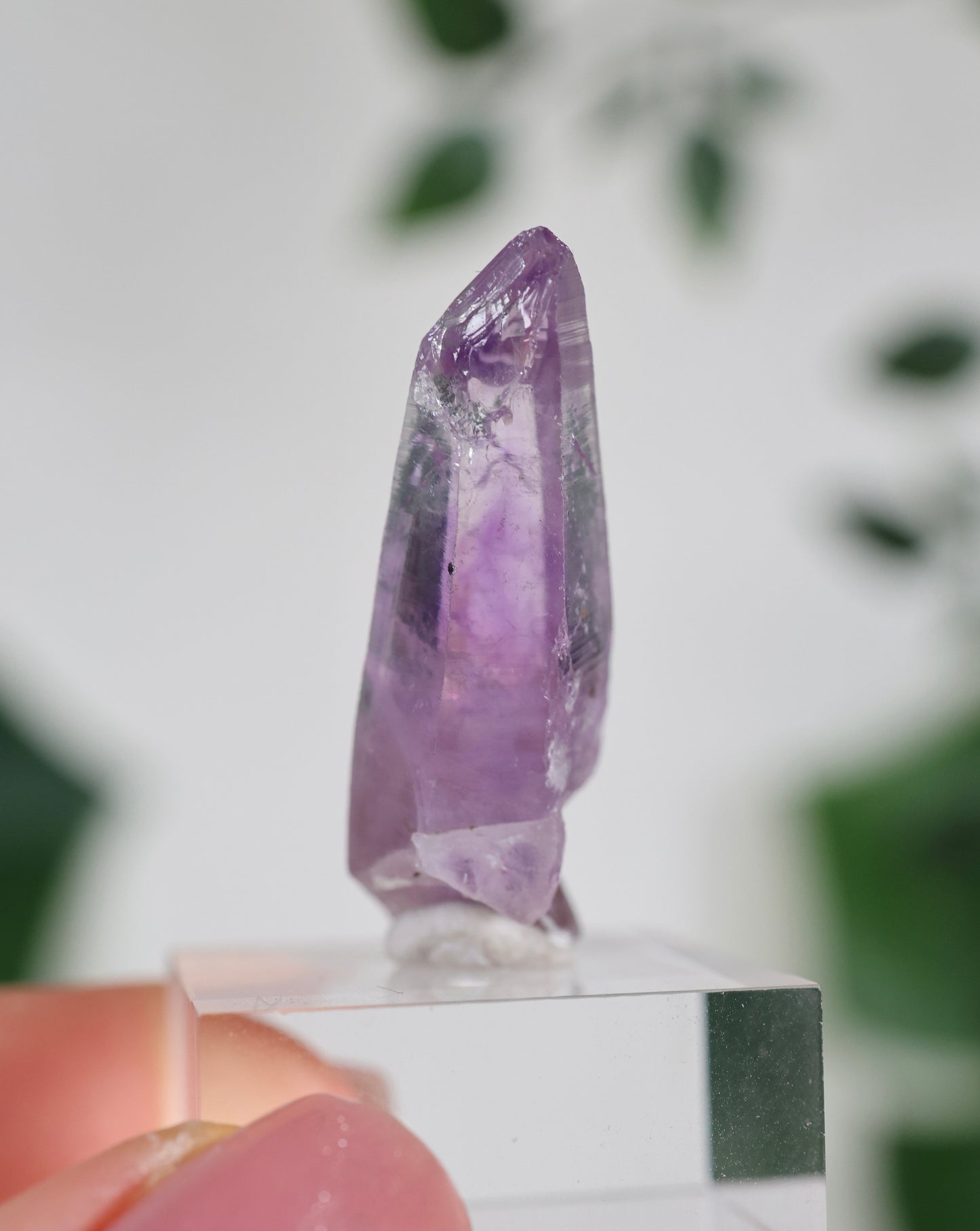 Guerrero Amethyst Oldstock XS - Auswahl