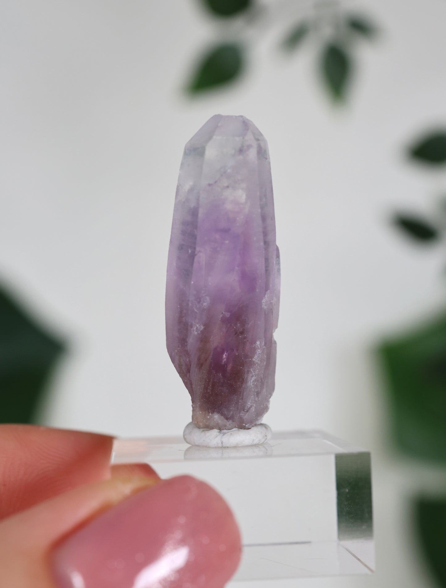 Guerrero Amethyst Oldstock XS - Auswahl