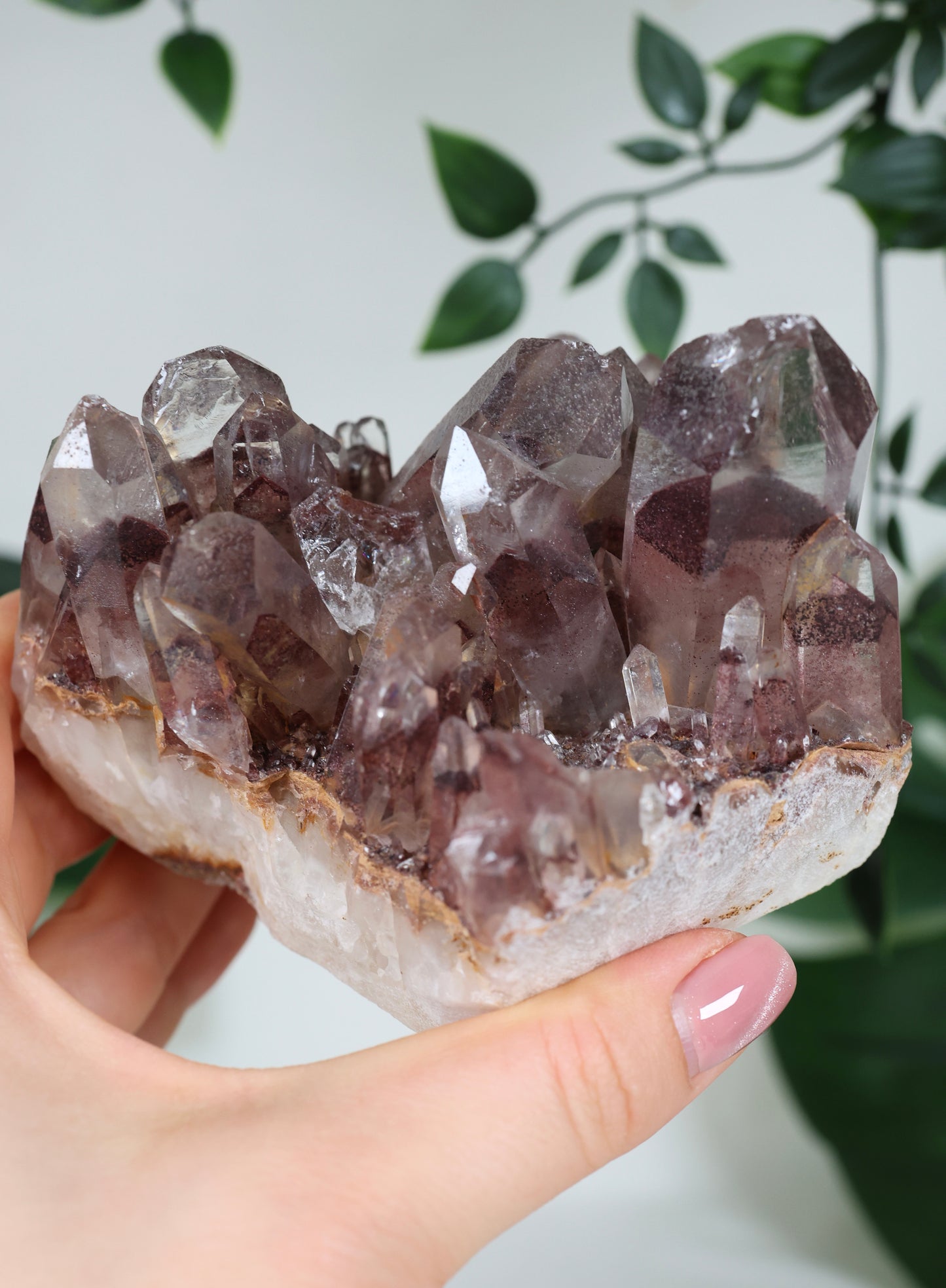 Sunset Quarz Nr.298SQ