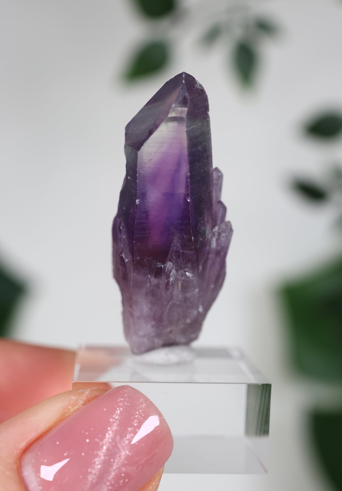 Guerrero Amethyst Oldstock S- Auswahl