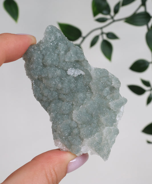 Grüner Apophyllit Crust Nr.41GA