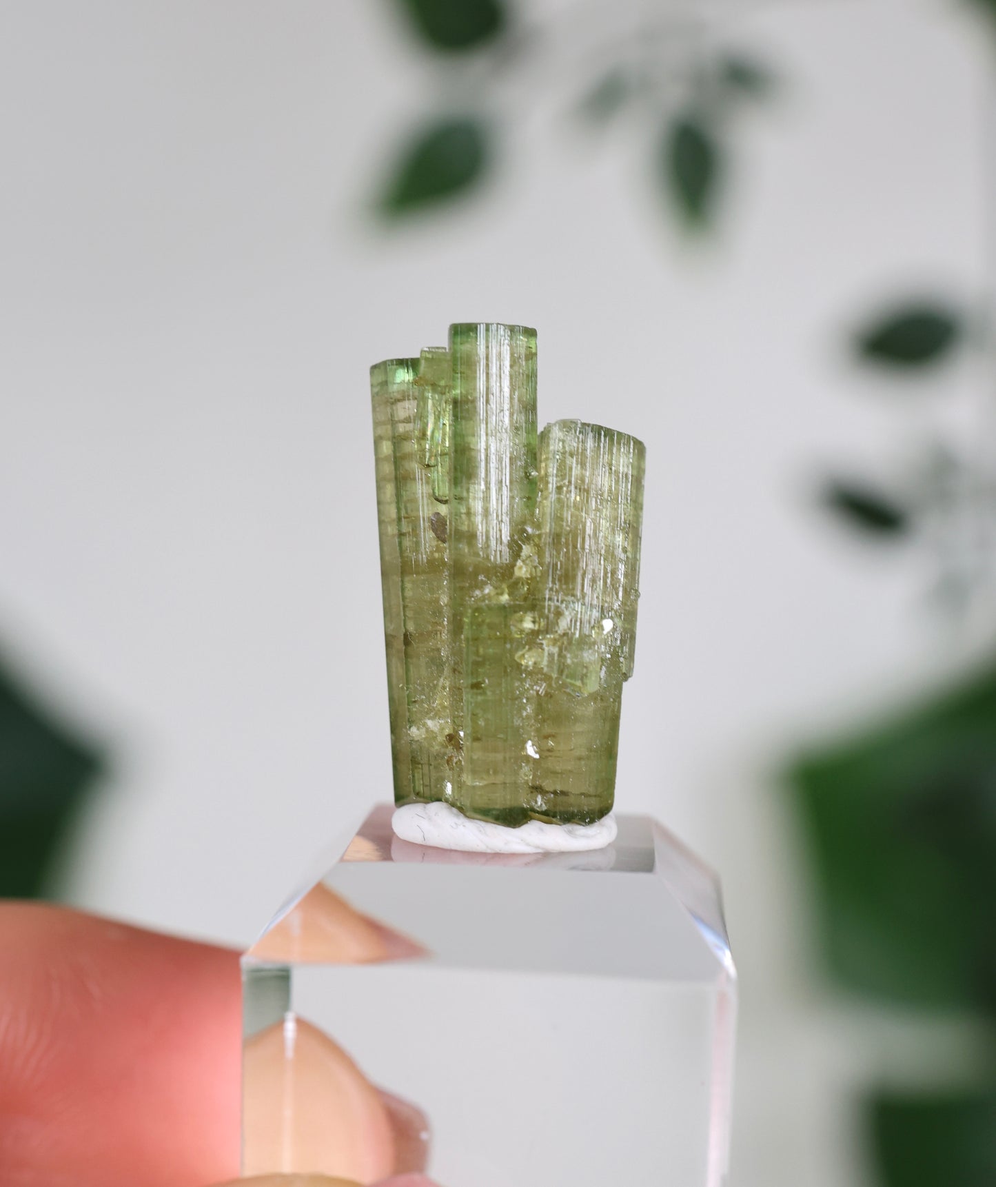 Grüner Turmalin S - Auswahl