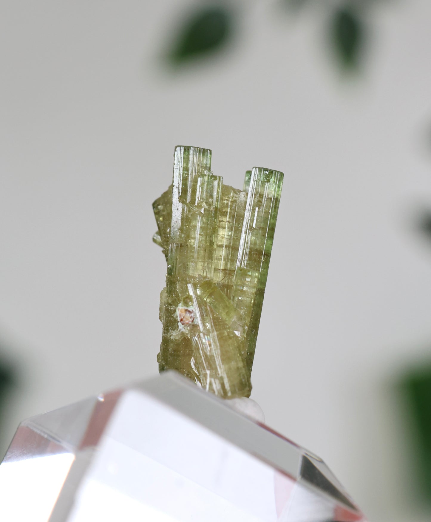 Grüner Turmalin S - Auswahl