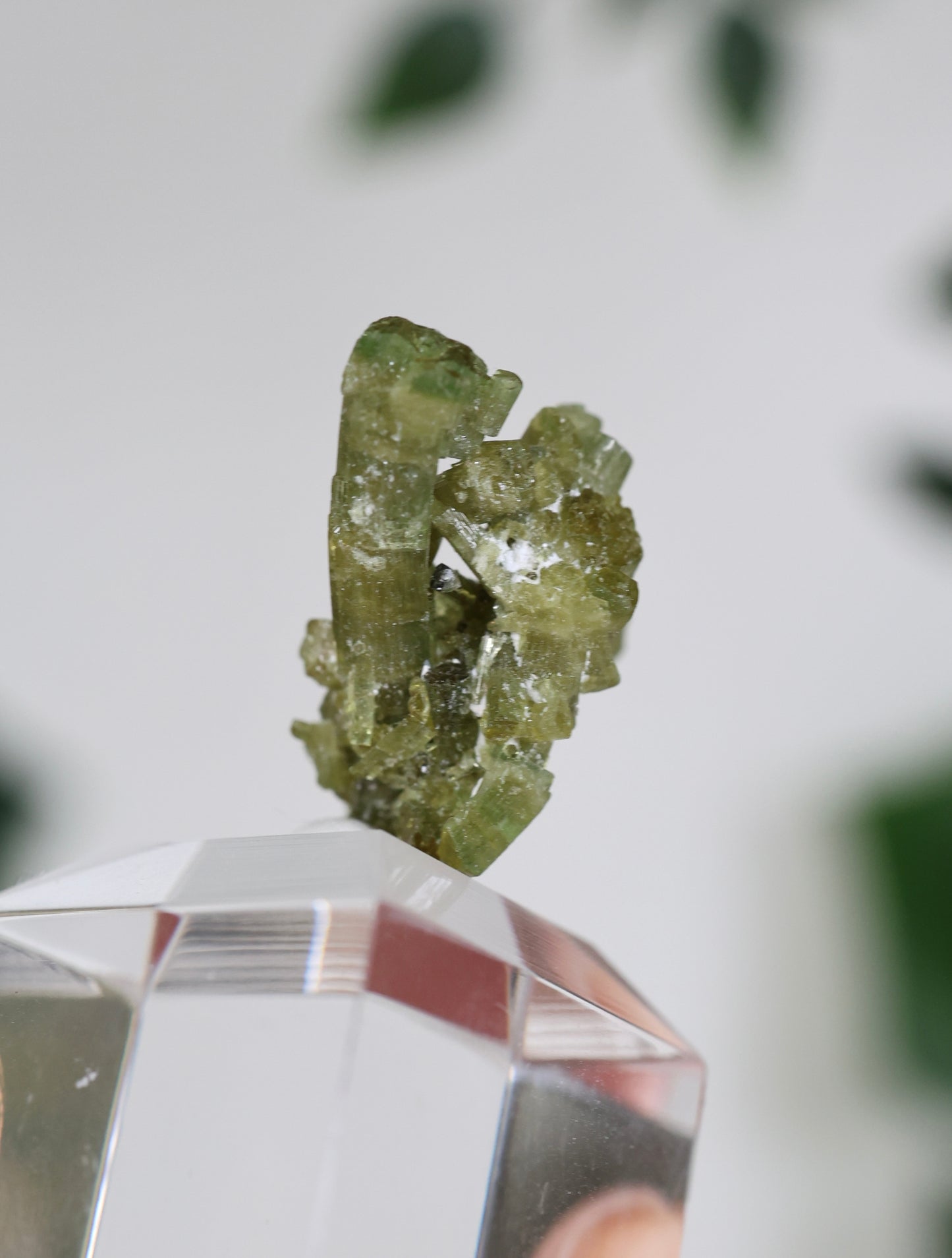 Grüner Turmalin S - Auswahl