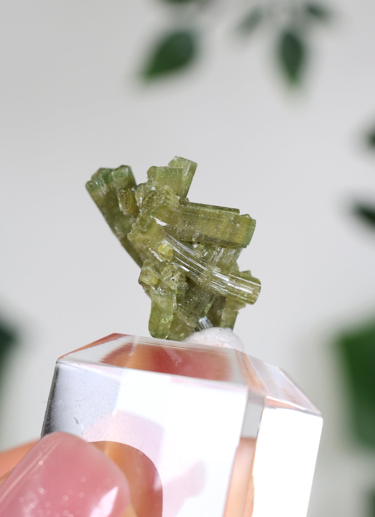 Grüner Turmalin S - Auswahl