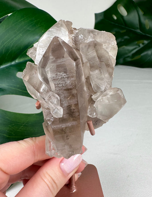 Rauchquarz Lemurian Nr.55RL