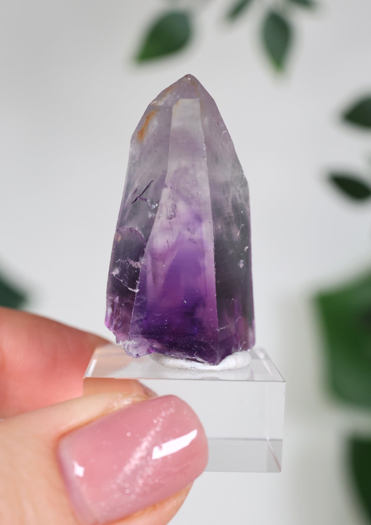 Guerrero Amethyst Nr.35GA