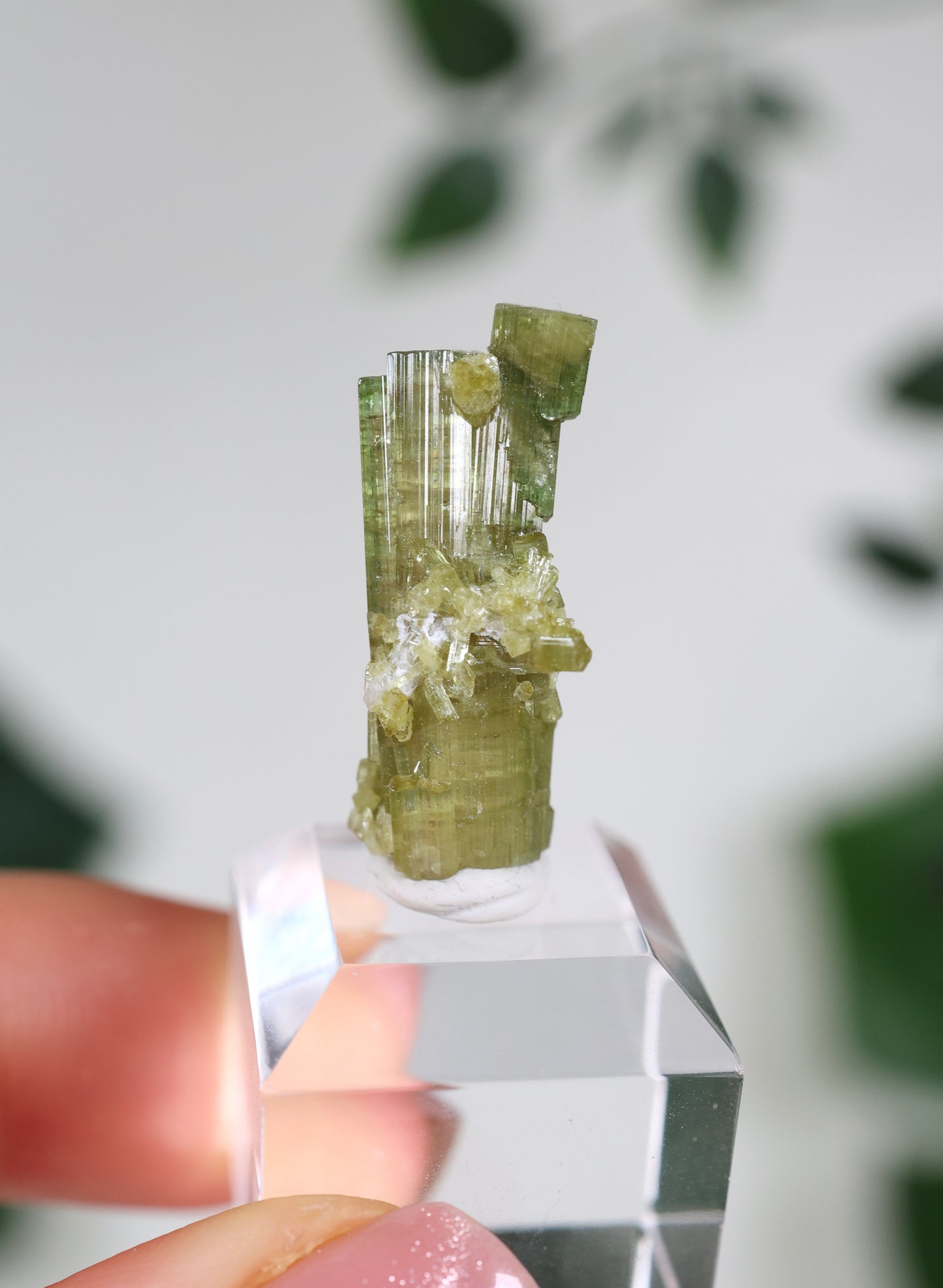 Grüner Turmalin S - Auswahl