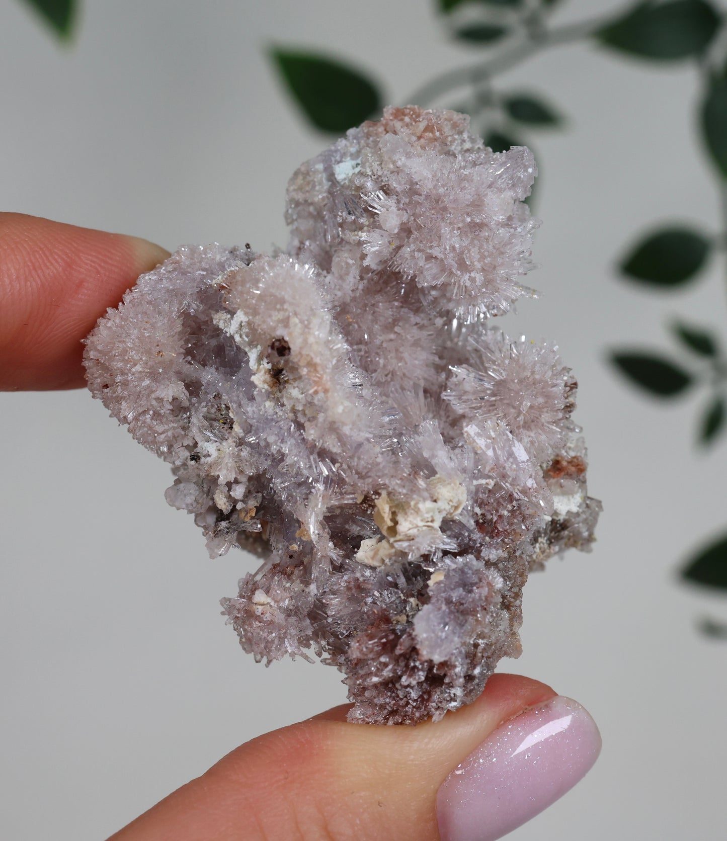 Lilaner Creedite Nr.119LC