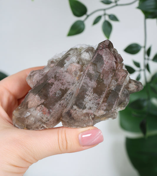 Gartenquarz x Rutil Cluster Nr.178GR