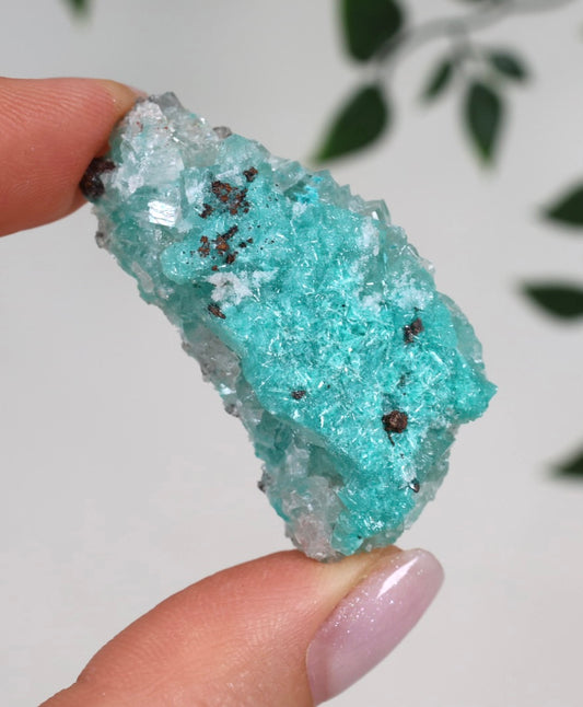 Aurichalcite - Auswahl