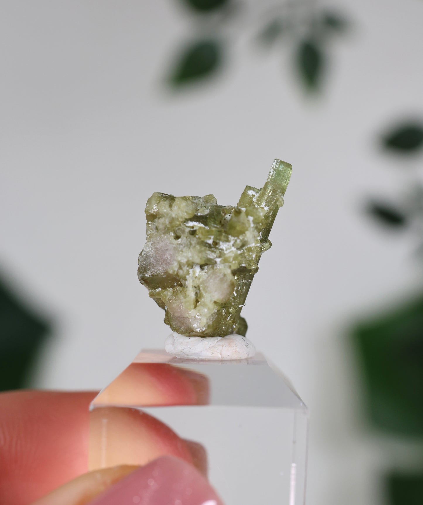 Grüner Turmalin S - Auswahl