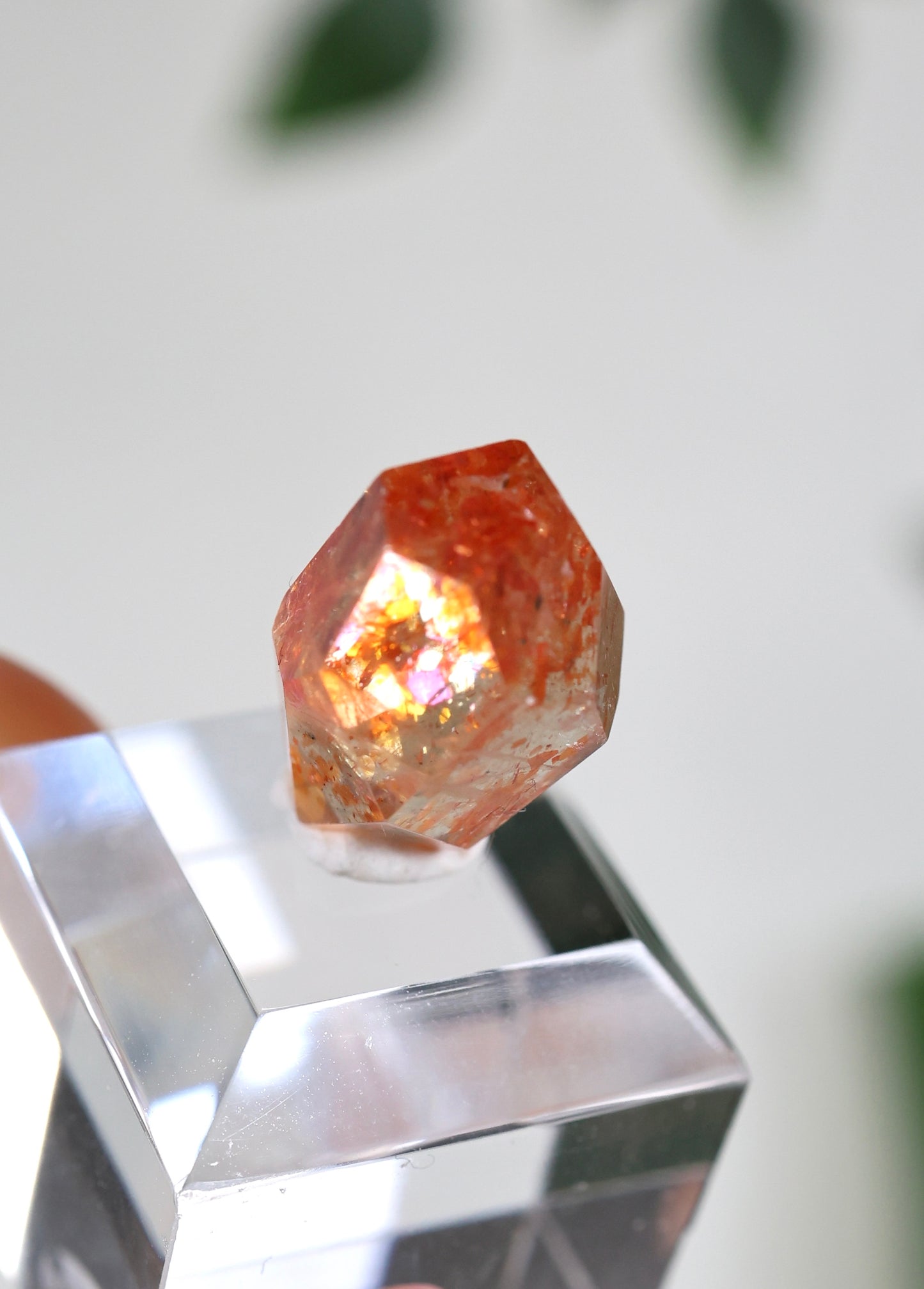 Sonnenstein in Quarz Nr.22SQ