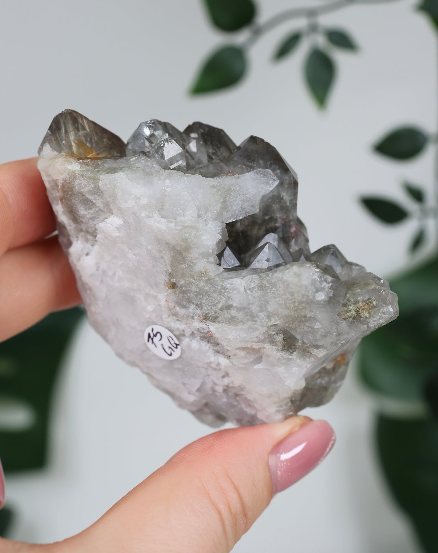 Gartenquarz x Rutil Cluster Nr.75GQ