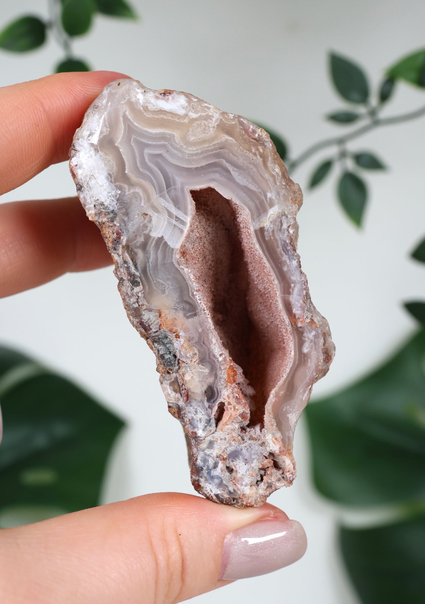 Laguna Achat Geode Nr.99LA