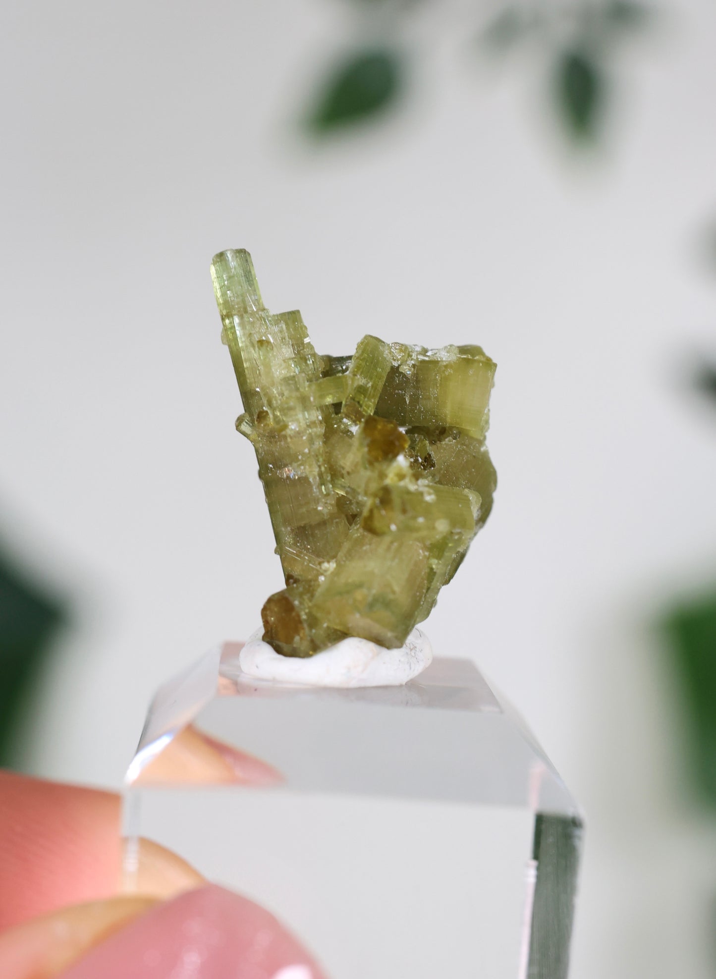 Grüner Turmalin S - Auswahl