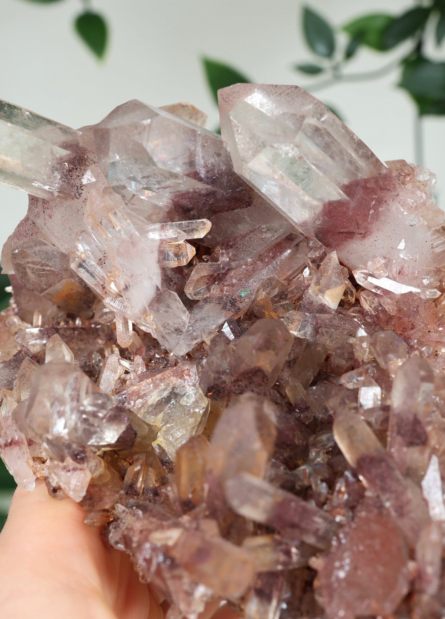 Sunset Quarz Nr.304SQ