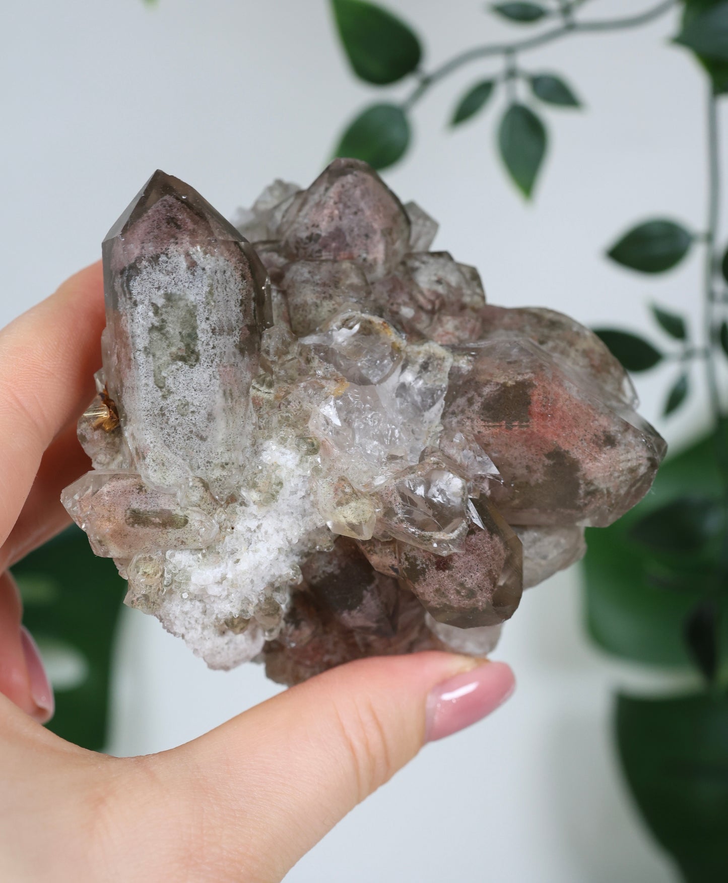 Gartenquarz x Rutil Cluster Nr.165GR